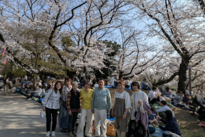 2026年3月お花見